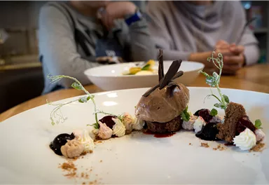 An artistically arranged dessert with chocolate ice cream, cream, and berry compote. In the background, two people can be seen talking.