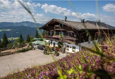 A beautiful house in the mountains, surrounded by green meadows and blooming plants. In the background, the mountains and a clear sky can be seen.