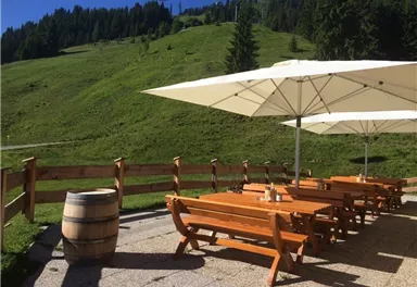 An inviting outdoor area with wooden tables and umbrellas, surrounded by green meadows. In the background, a cable car is visible.