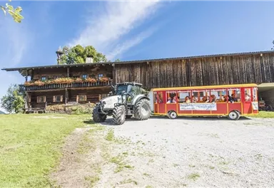 Ein Bauernhof mit einem großen Holzhaus und einem Traktor. Daneben steht ein roter Personenwagen mit mehreren Passagieren.