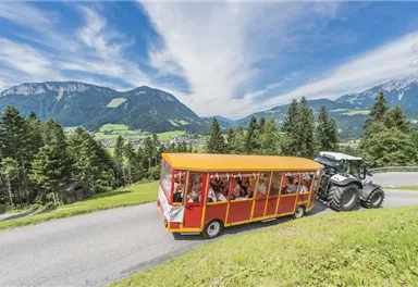 Ein bunter Tourbus bringt Passagiere durch eine malerische Berglandschaft. Im Hintergrund sind die grünen Hügel und majestätischen Berge sichtbar.