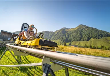 A summer toboggan run with a child and an adult having a lot of fun. In the background, there are green hills and a clear blue sky.