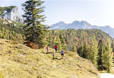 A group of hikers explores a mountainous landscape. The trees and the mountains in the background are colorful in the autumn.