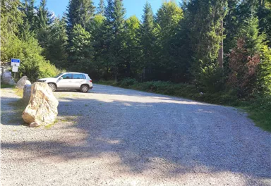 A gravel parking lot surrounded by tall trees. A white car is parked at the edge of the lot.