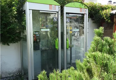 Zwei alte Telefonzellen stehen in einer grünen Umgebung. Die Zellen sind aus Glas mit grünen Akzenten und umgeben von Pflanzen.