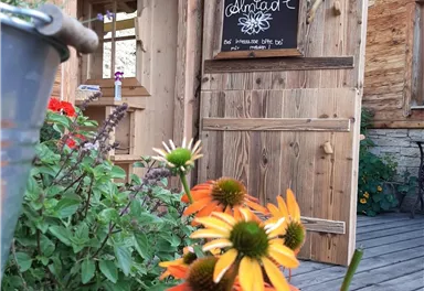 An entrance to a wooden house with a sign that reads "Teresa's Blossoming". In the foreground, orange and yellow flowers are blooming.