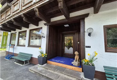 An inviting entrance area with wooden paneling and a blue doormat. Various plants and benches create a cozy atmosphere.
