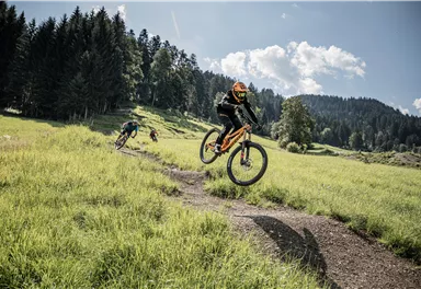 Ein Mountainbiker springt über einen Hügel in einer grünen Wiese. Im Hintergrund sind weitere Radfahrer und Bäume zu sehen.