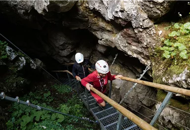 Two people are descending a staircase into a cave. They are wearing helmets and are surrounded by rocks and plants.