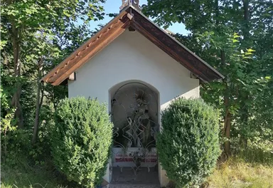 A small white building with a wooden roof stands amidst trees. In front of the entrance, there are two green boxwood trees.