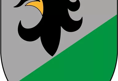 Ein Wappen mit einem schwarzen Adlerkopf auf grauem Hintergrund. Der untere Teil ist grün und schräg geteilt.