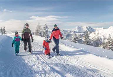 A family is walking in the snow and enjoying the wintry landscape. In the background, snow-covered mountains and a blue sky can be seen.
