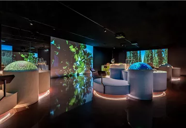 Ein modernes Innenraumdesign mit interaktiven Elementen und Projektionen von Naturmotiven. Es gibt runde Sitzmöglichkeiten und eine gedämpfte Beleuchtung.