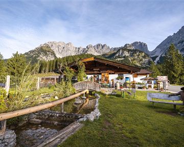 A picturesque alpine cabin with a beautiful garden and a view of impressive mountains. The surroundings are green and a calm stream flows by.