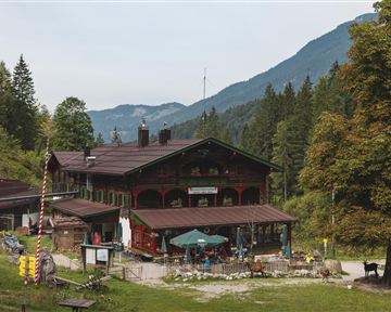 A traditional inn amidst trees and mountains. The outdoor area is cozy and inviting.