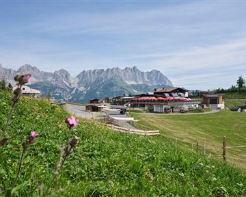 A picturesque mountain landscape with green meadows and blooming flowers. In the background, impressive mountains and individual buildings can be seen.