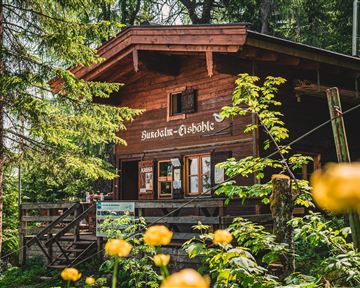A cozy wooden cabin surrounded by trees and flowers. The cabin has large windows and an inviting porch.