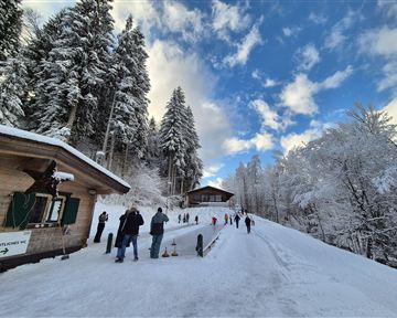 Eine schneebedeckte Landschaft mit vielen Bäumen und einem blauen Himmel. Einige Leute laufen den verschneiten Weg entlang.