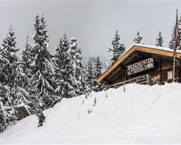 Eine charmante Berghütte in einer schneebedeckten Landschaft. Umgeben von hohen, verschneiten Tannenbäumen unter einem bewölkten Himmel.