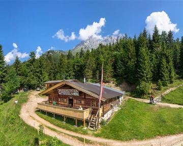 Eine gemütliche Berghütte umgeben von grünen Bäumen und klar blauem Himmel. Der Weg führt durch die malerische Landschaft.