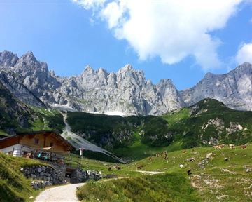 Eine malerische Berglandschaft mit hohen Felsen und üppigem Grün. Im Vordergrund steht eine Hütte, umgeben von weidenden Kühen.