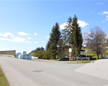 A quiet rural road with trees and a view of the mountains. On the left side, several round white objects are standing.