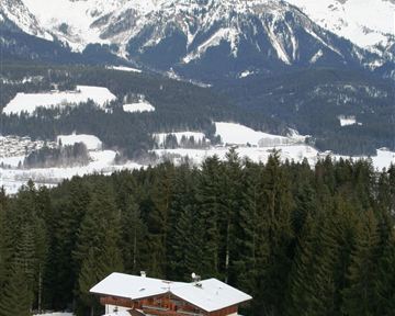 Ein gemütliches Holzhaus liegt im schneebedeckten Gelände, umgeben von Tannenbäumen. Im Hintergrund erheben sich majestätische Berge unter einem grauen Himmel.