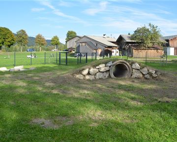 A green field with a large stone pipe. In the background, several farmhouses and trees can be seen.