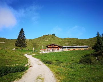 Ein gemütliches Gebäude auf einer grünen Wiese, umgeben von sanften Hügeln. Der Himmel ist klar und blau, mit wenigen Wolken.