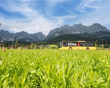 Ein gelber Reisebus steht auf einer Wiese vor beeindruckenden Bergen. Der Himmel ist klar und sonnig.