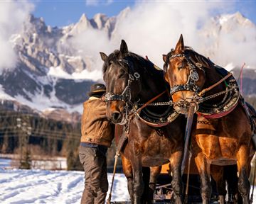 Ein Mann steht neben zwei Pferden in der Schneeunterlage. Im Hintergrund sind schneebedeckte Berge und ein klarer Himmel zu sehen.