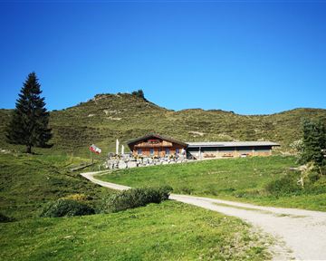 A cozy mountain cabin surrounded by green meadows and a clear blue sky. In the background, gentle hills and a single tree can be seen.