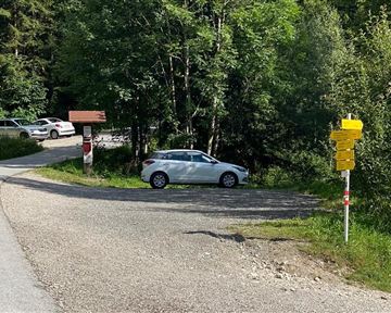 Ein kurvenreicher Weg in einem Waldgebiet mit vielen Bäumen. Ein weißes Auto steht neben einem Wegweiser mit gelben Markierungen.