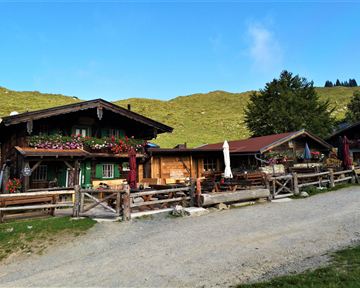 A charming old farmhouse with blooming flowers and rustic wood decor. In the background, you can see a green hillside landscape under a clear sky.