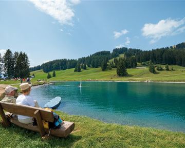 A quiet lake surrounded by green meadows and trees. A person is sitting on a bench and enjoying the view.