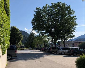 Eine ruhige Straße mit Bäumen und parkenden Autos. Der Himmel ist klar und blau, im Hintergrund sind Berge zu sehen.
