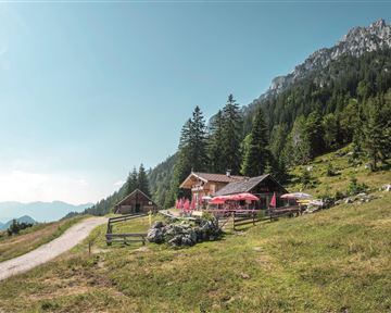 A picturesque mountain hut surrounded by green meadows and tall trees. In the background, impressive mountains rise under a clear sky.