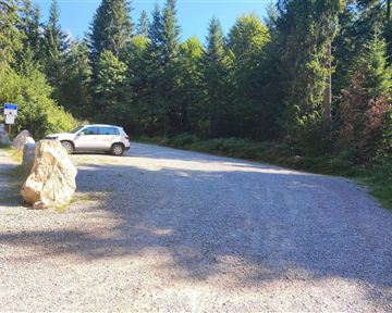 A gravel parking lot surrounded by tall trees. A white car is parked at the edge of the lot.