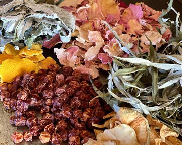 Eine Auswahl an getrockneten Pflanzen und Blütenblättern in verschiedenen Farben. Die Materialien sind sorgfältig angeordnet und zeigen eine Vielzahl von Texturen.