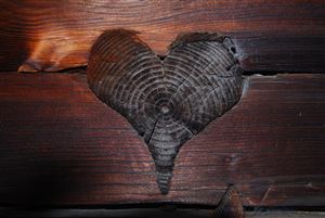 A heart-shaped pattern in a piece of wood. The grain of the wood is clearly visible and gives the image a warm atmosphere.