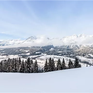 A wintry landscape with snow-covered fields and fir trees. In the background, majestic mountains rise under a clear sky.