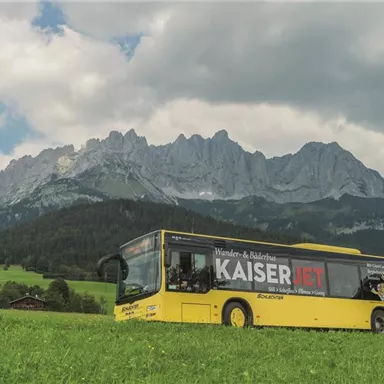 A yellow bus stands on a meadow with mountains in the background. The landscape is green and the clouds in the sky are partly cloudy.