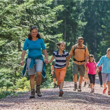 A family is hiking on a path through a green forest. The children are holding hands and enjoying nature.
