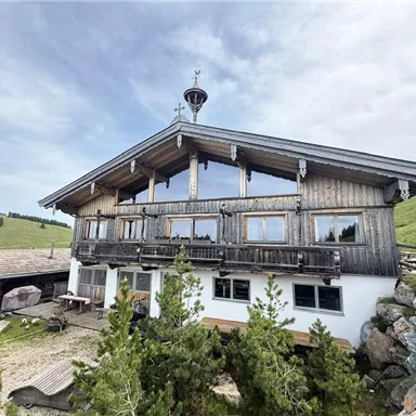 Ein traditionelles Holzhaus in den Bergen mit großen Fenstern. Umgeben von grünen Wiesen und Bäumen.