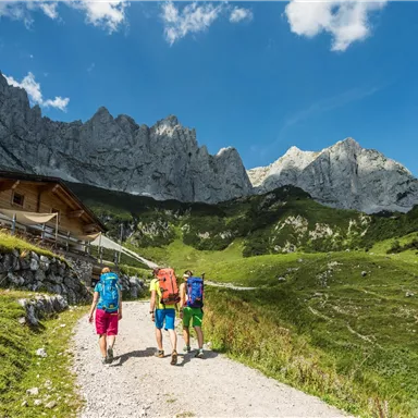 Eine Gruppe von Wanderern geht einen Weg in den Bergen. Im Hintergrund sind beeindruckende Felsen und eine Wälderlandschaft zu sehen.