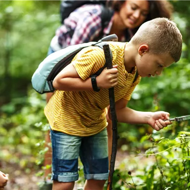 Two children are exploring the forest. A boy is holding a tool and examining the plants, while a woman in the background is smiling.