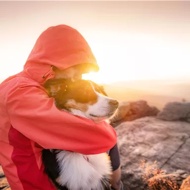 A person is hugging a dog on a rock at sunset. The warm lighting creates a peaceful atmosphere.