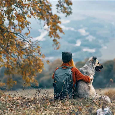 A person is sitting with a dog on a hill, enjoying the view. The trees in autumn have beautiful, golden leaves.