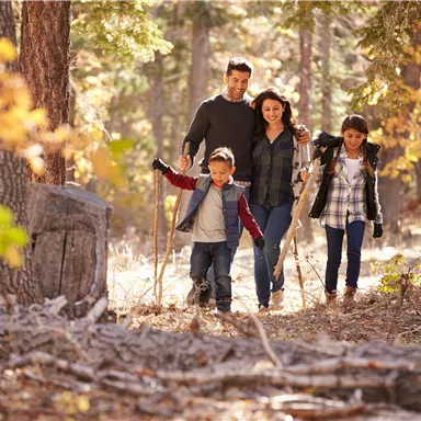 A family is happily hiking through an autumn forest. The children are holding hiking poles and enjoying their time in nature.