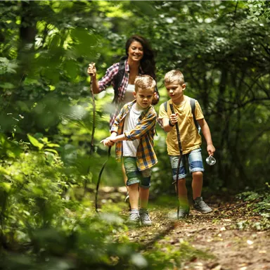 A woman is hiking with two children on a narrow path through the forest. They are enjoying nature and carrying hiking sticks.